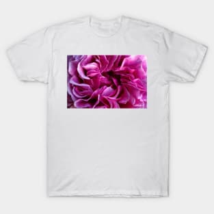 Rose petals T-Shirt